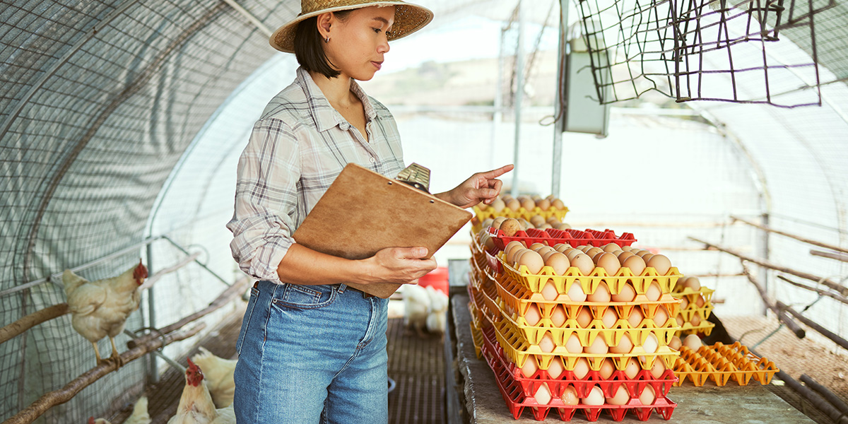 ¿Qué Es La Seguridad Alimentaria? - MAS Prevención